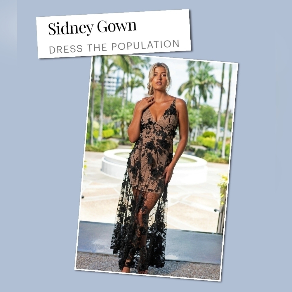 DRESS THE POPULATION • Sidney Gown, Sheer, Black Floral Applique Overlay, XS NWT
